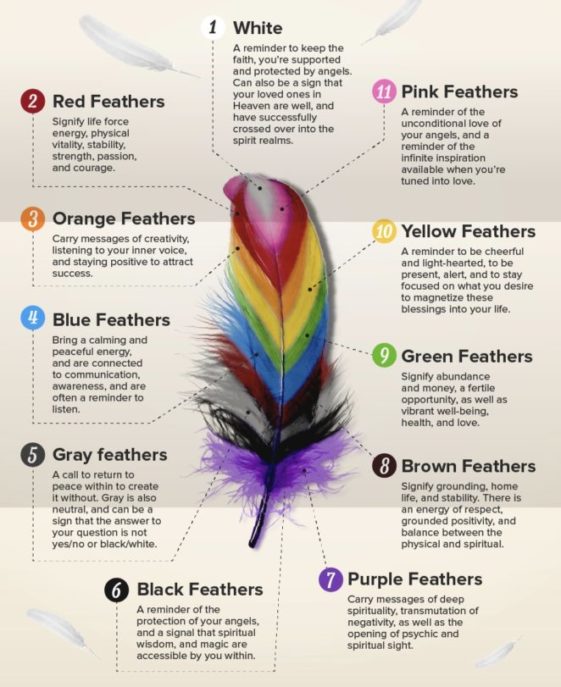 Finding a Feather Virily