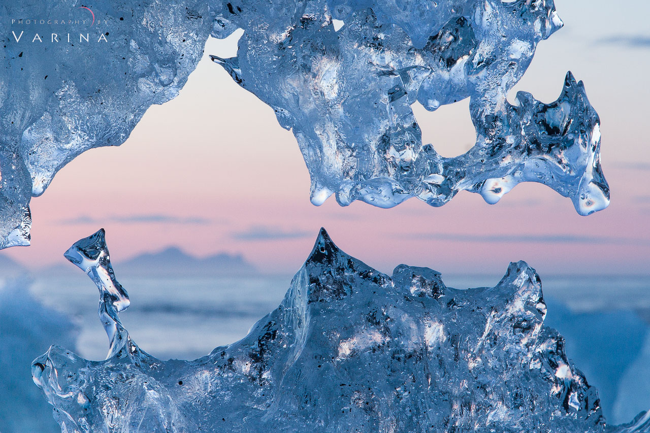 5 Effective Monochromatic Nature Photography Ideas to Pursue