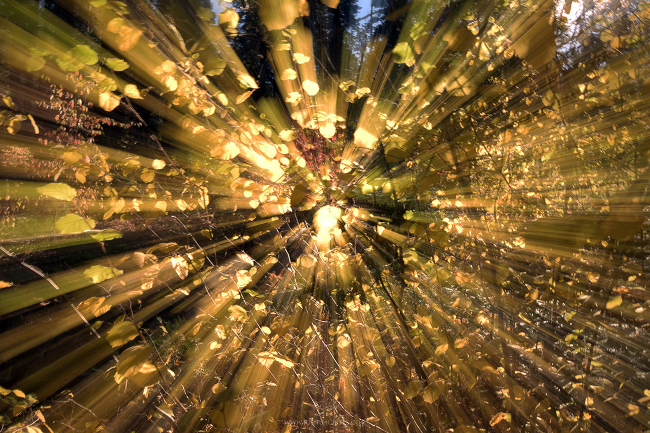 Multiple Camera Exposure Fun, Creative Techniques to Try