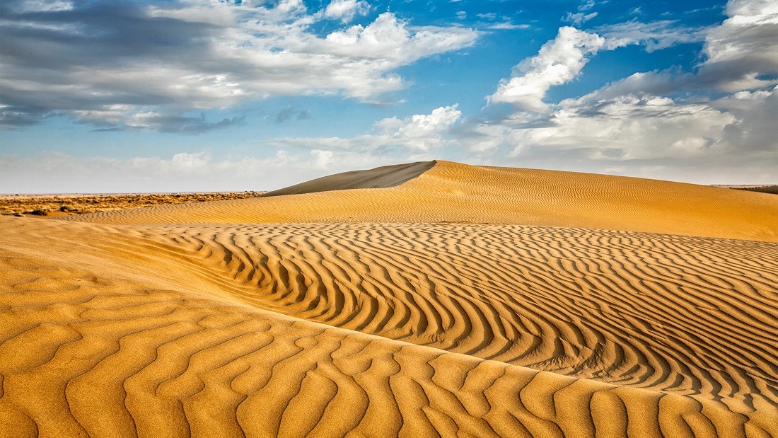 Desertification Viva! The Vegan Charity