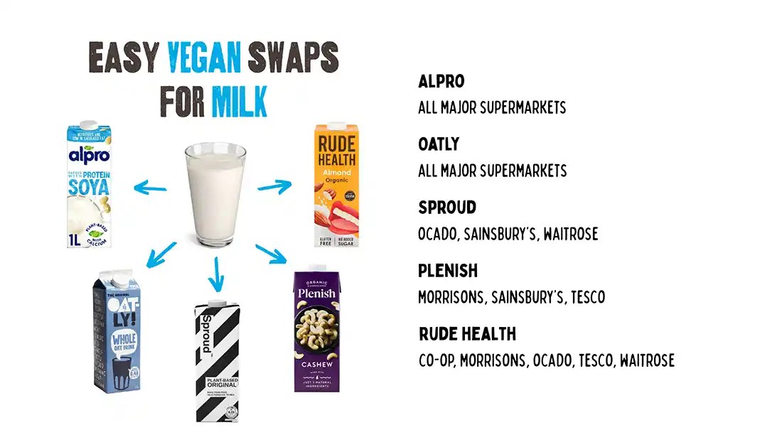 Easy Vegan Swaps for Milk Viva! The Vegan Charity
