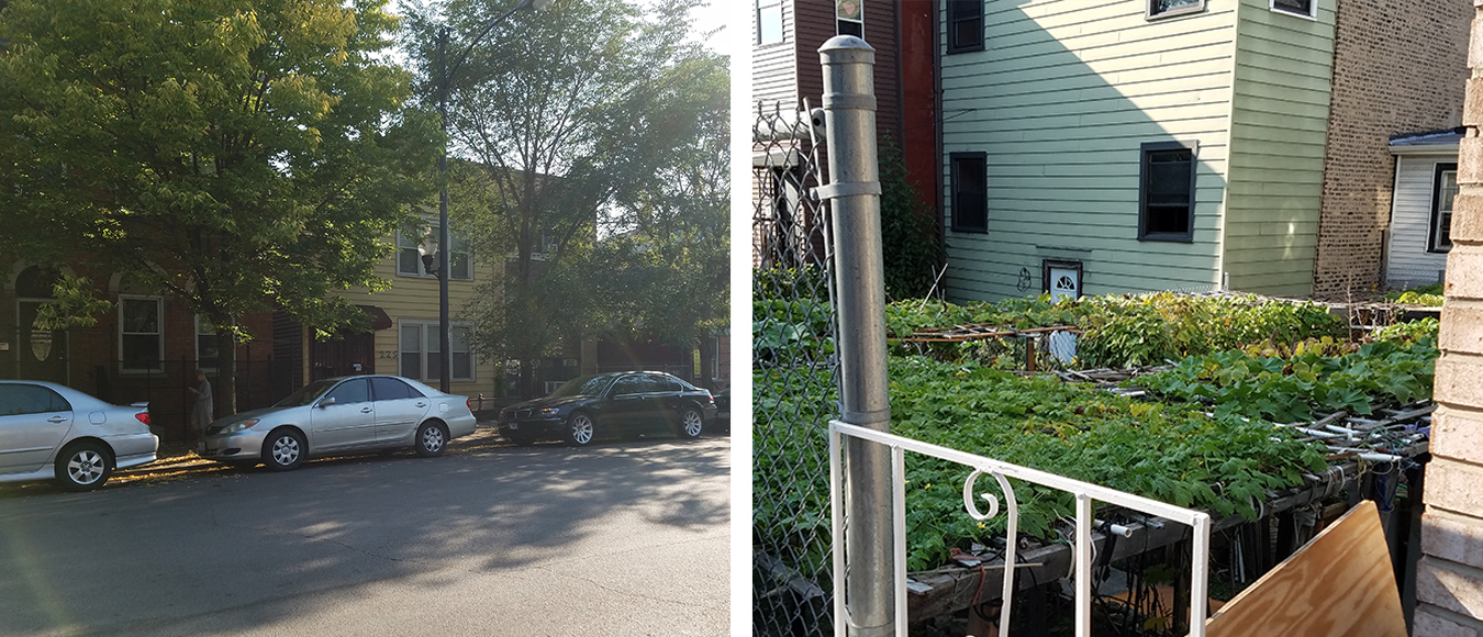 Why Chicago’s Chinatown Is Invisible In The Online Apartment Market