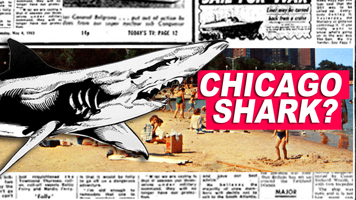 Getting to the Bottom of Lake Michigan's Legendary 'Shark Attack' WBEZ