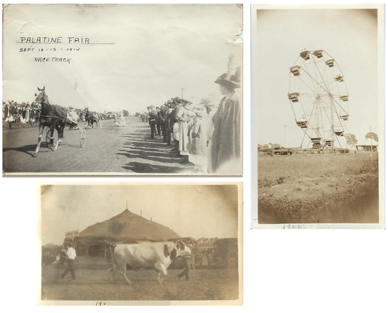 What Killed The Cook County Fair? WBEZ Chicago