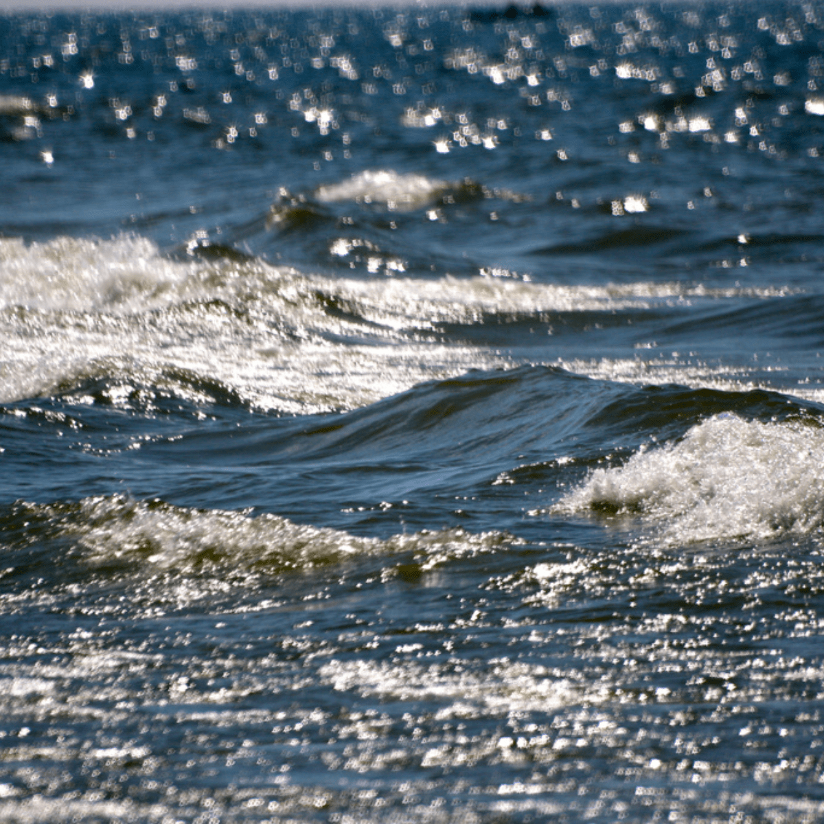 Dangerous Swim Conditions Reported Along Lake Michigan WBEZ