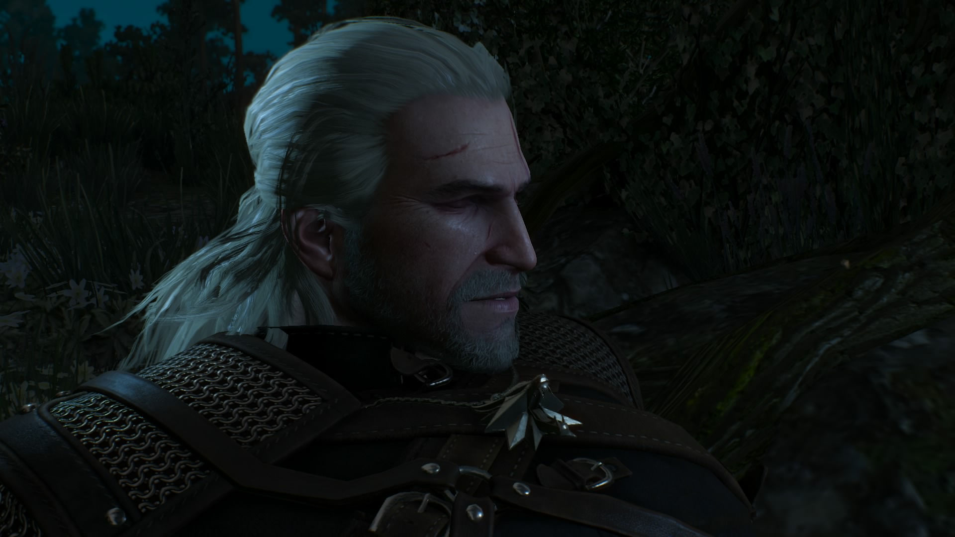 The Witcher 3 How to Remove Geralt’s Weight Limit