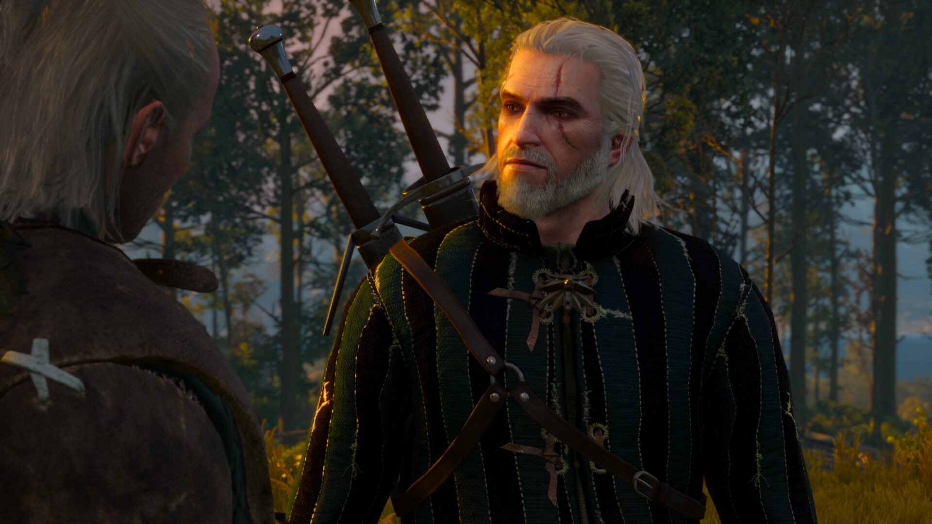 The Witcher 3 Performance Issues; Crashes, Errors & Fixes