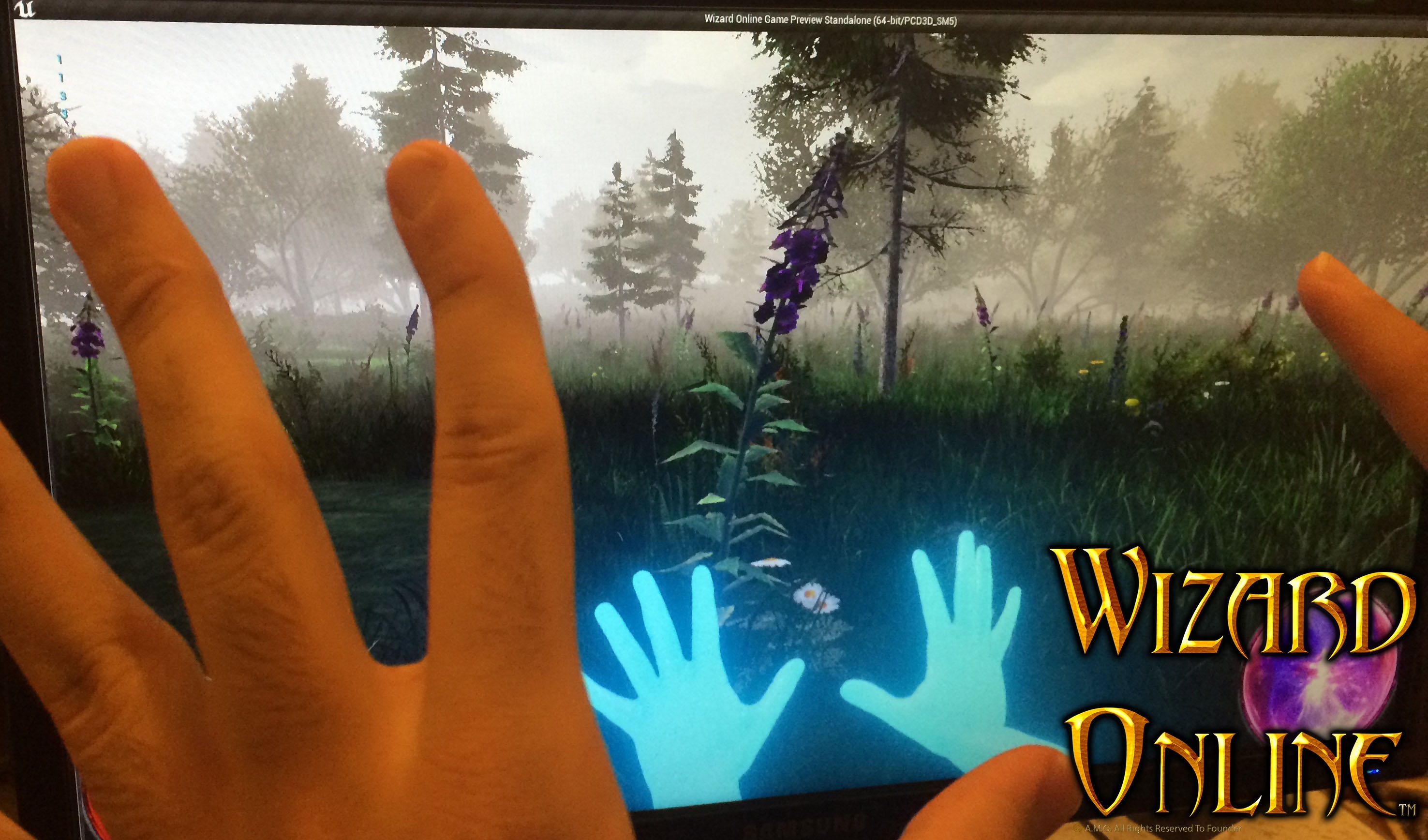 VR MMO Wizard Online To Support DX12, Motion Controls; Due