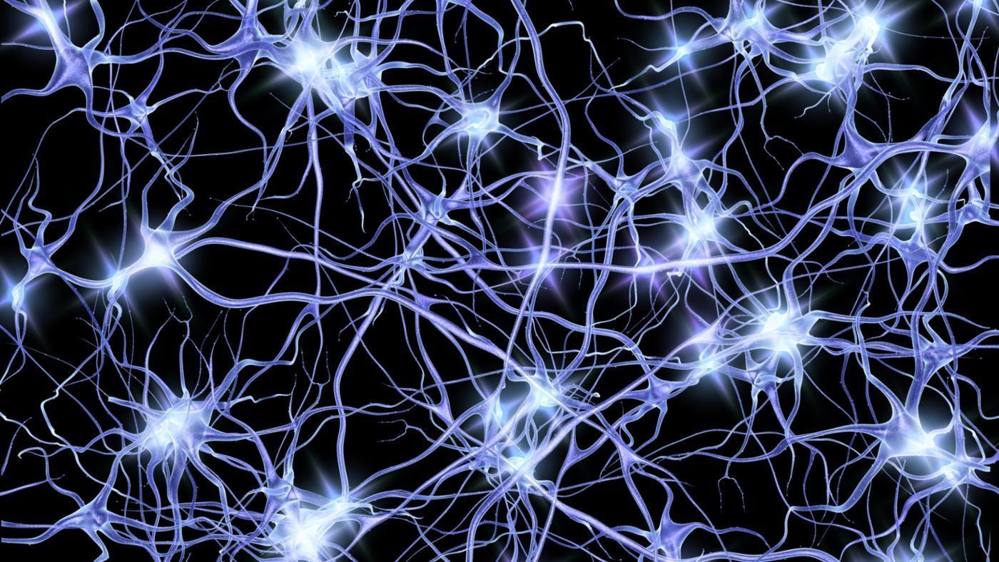 Possibility That Scientists Might Have Discovered The Building Blocks