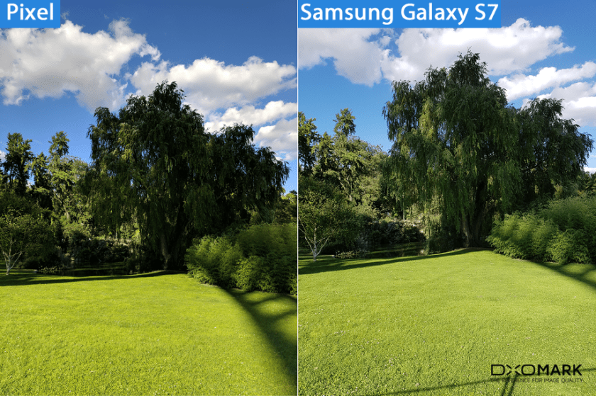 "HighestRated Smartphone Camera" Check Out Pixel Camera Samples
