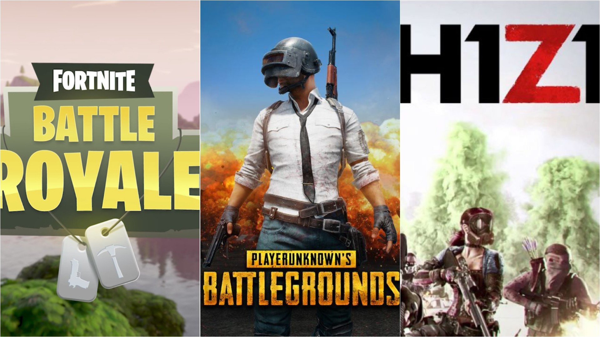 TakeTwo CEO Strauss Zelnick Against Battle Royale Trend 'The Next Big