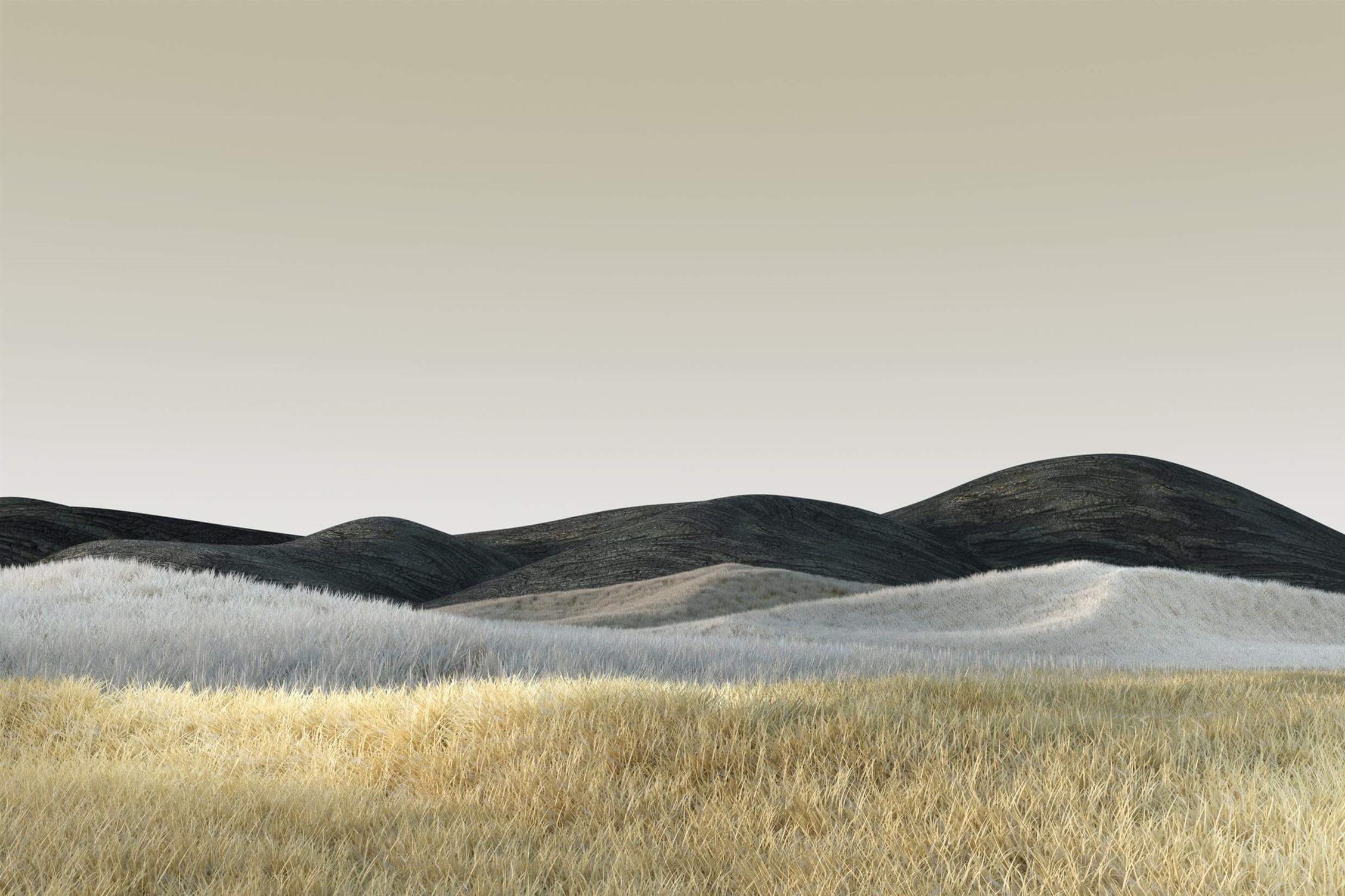 Download All New Microsoft Surface Wallpapers (Direct Links)