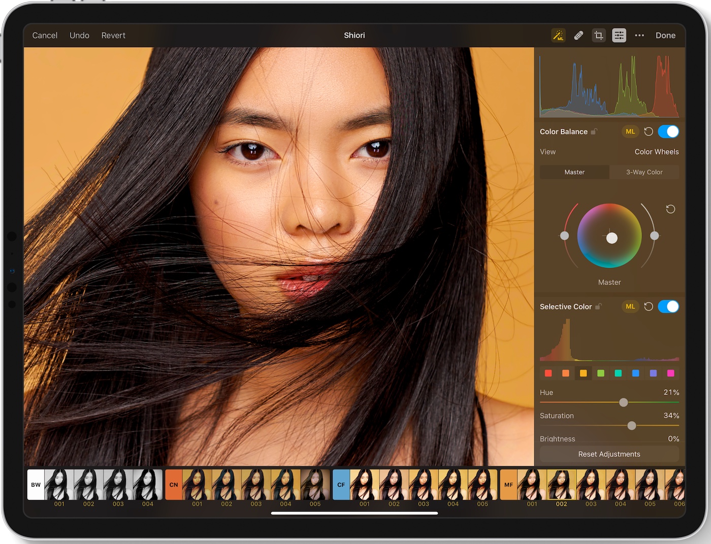 Pixelmator Photo Is Free for 24 Hours Best Lightroom Alternative for iPad