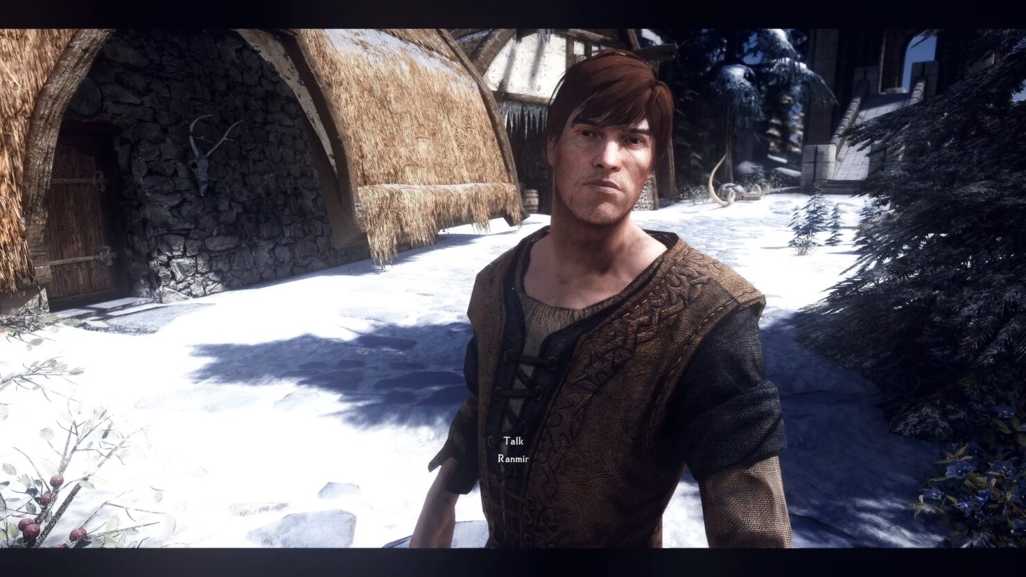 Skyrim Modpocalypse Mod Improves The Visual Appearance of NPCs