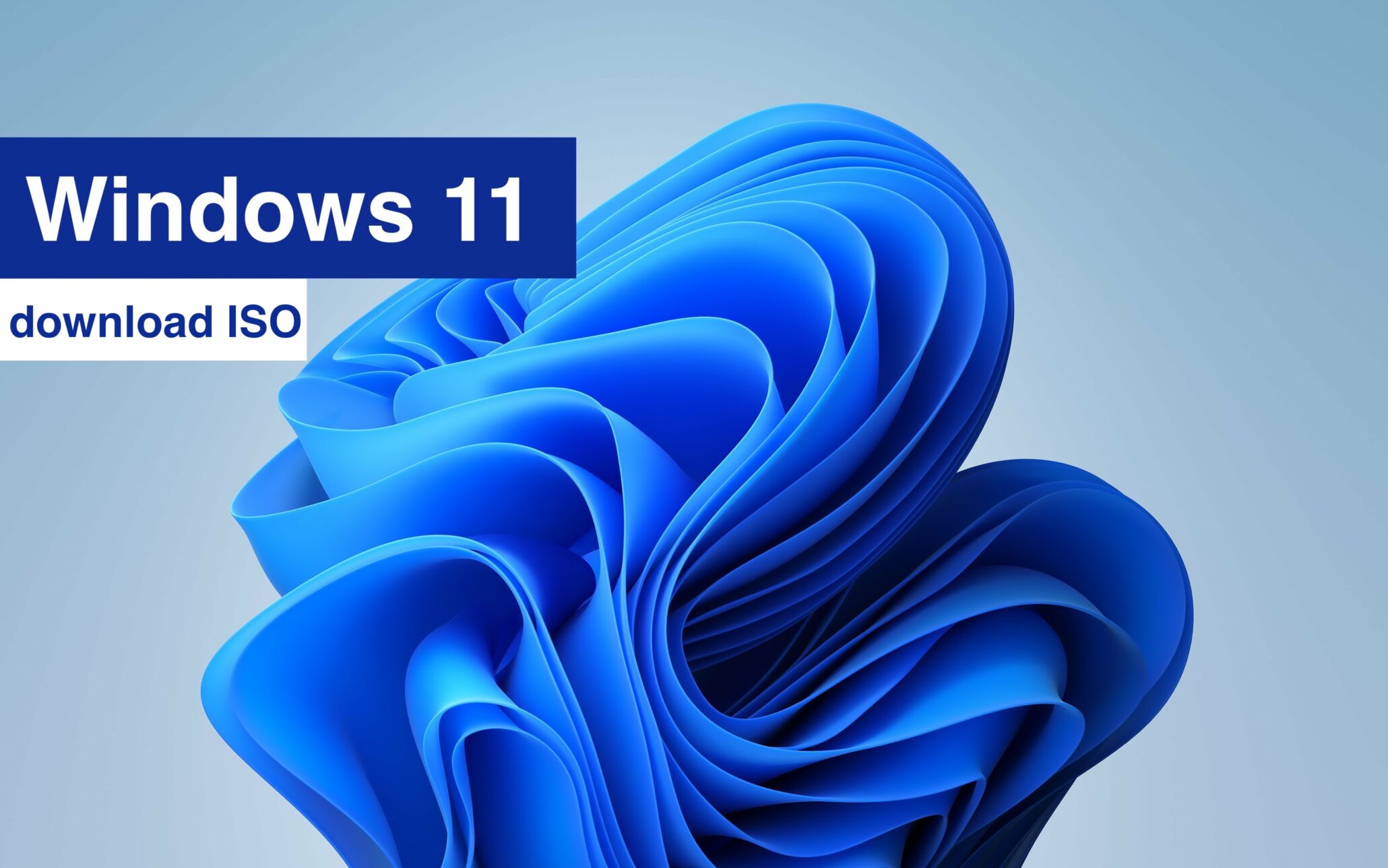 Download Windows 11 ISO Files for the Latest Build 22523