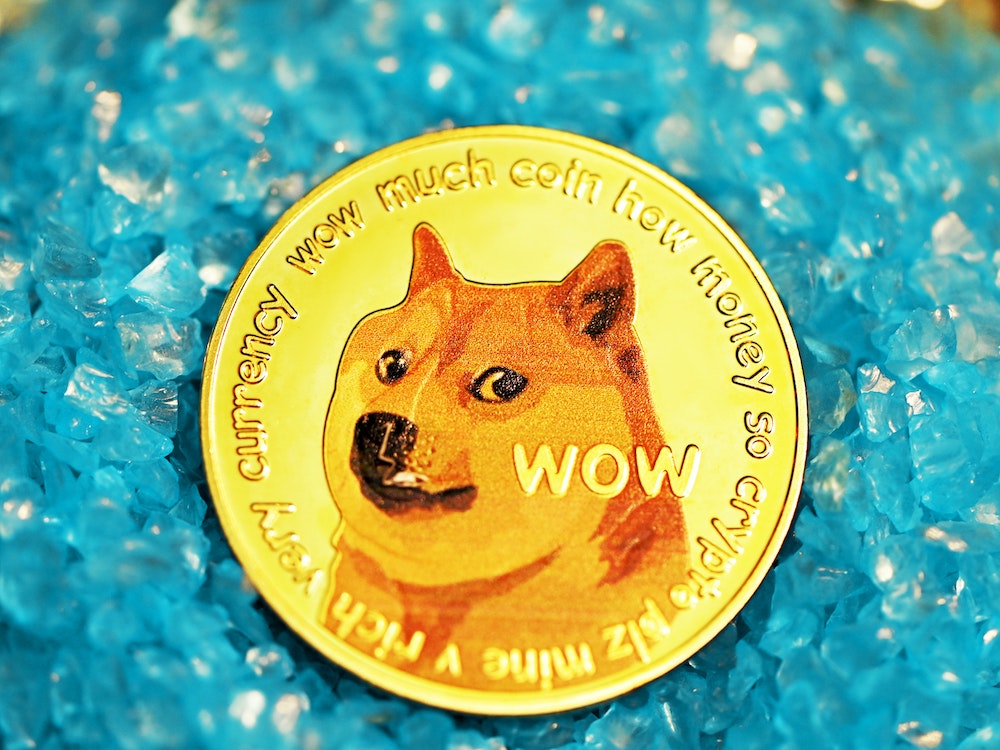 Will Shiba Inu Coin Reach 1 Cent In 2022 My Blog