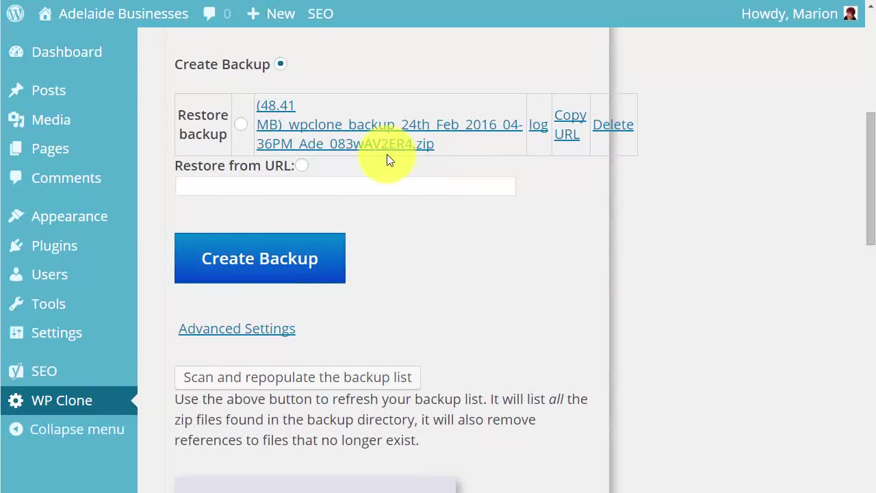Full Backup With a Plugin