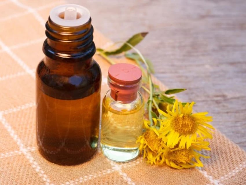 The 10 Most Expensive Essential Oils In The World (2022) Wealthy Gorilla