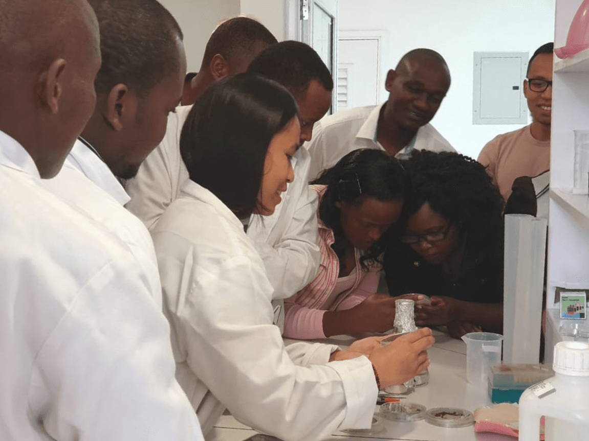 itp ultimissime 2023 Call International Training Programme Projects (Itp) 2023 | Vliruos