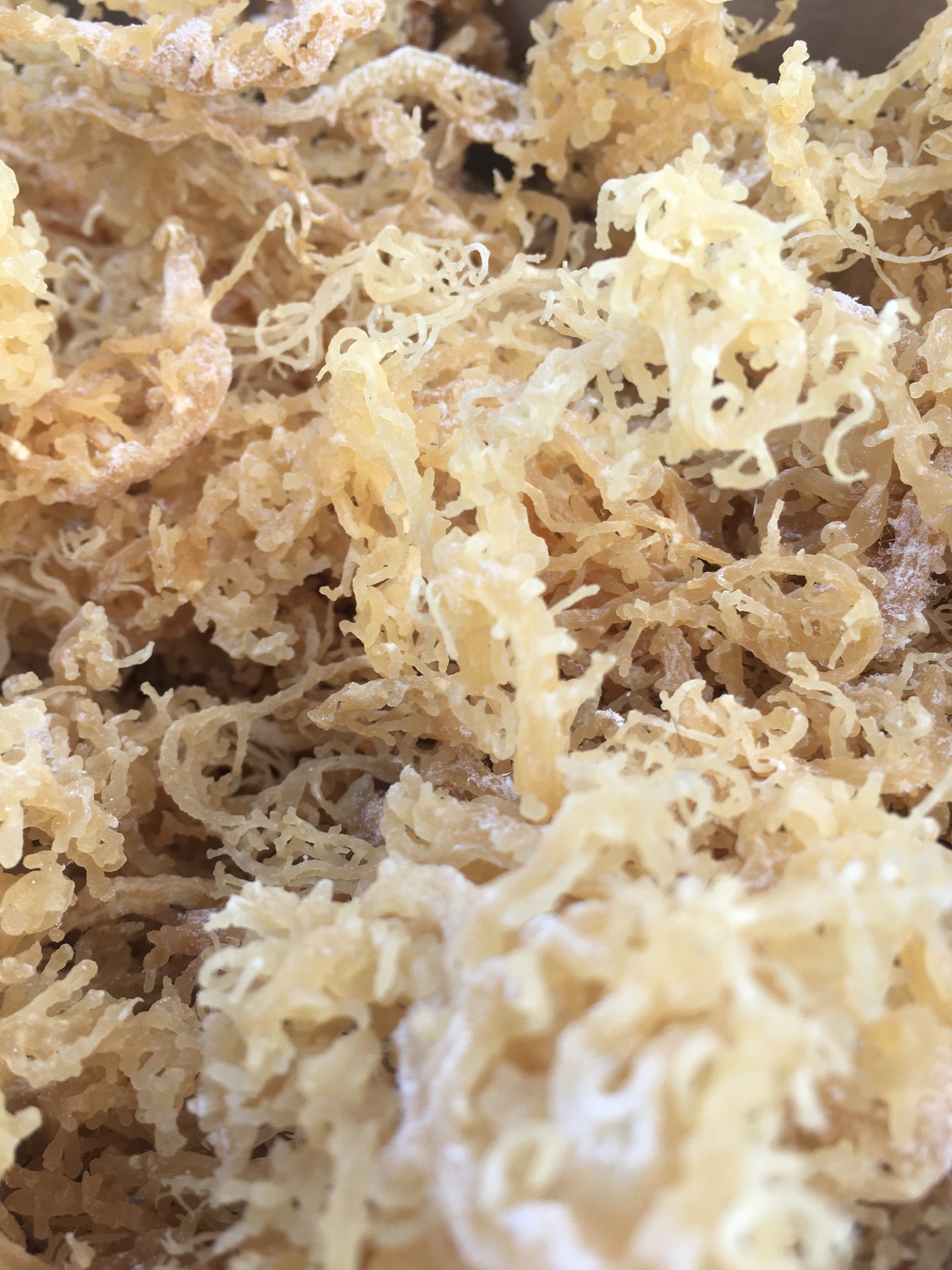 1 Kg Gold Sea Moss Sea Moss Naturals Irish Sea Moss Organic From