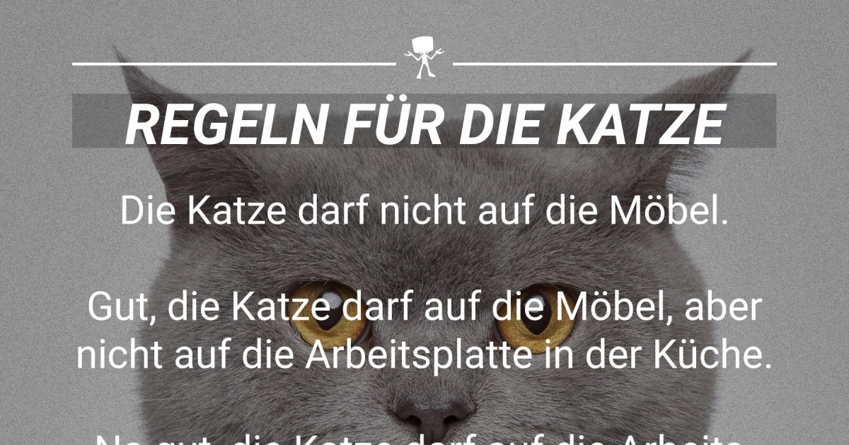 Regeln für die Katze Webfail Fail Bilder und Fail Videos