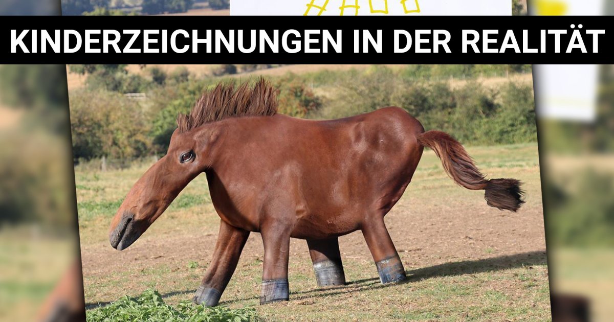 Kinderzeichnungen in der Realität Ein Vater passt Tiere mit