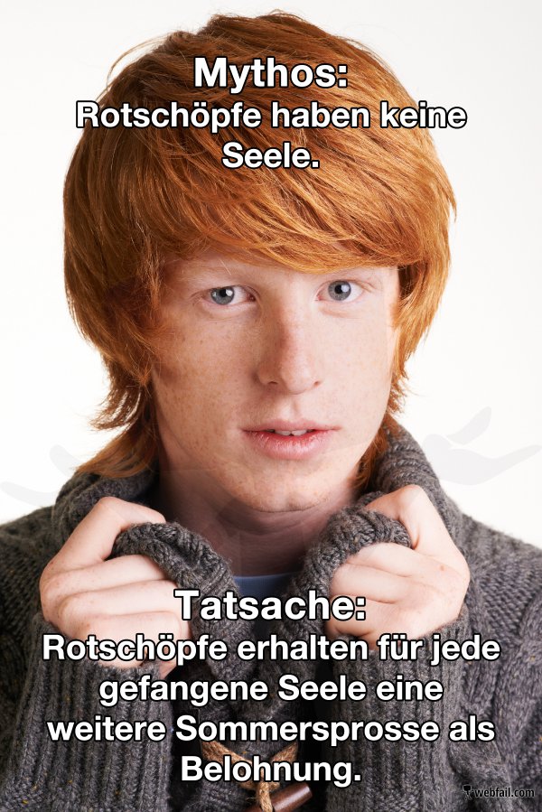 Mythen und Fakten über Rotschöpfe Fun Bild Webfail