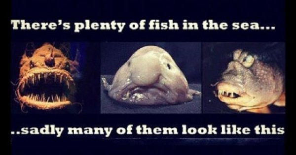 There's plenty of fish in the sea Meme Picture Webfail Fail