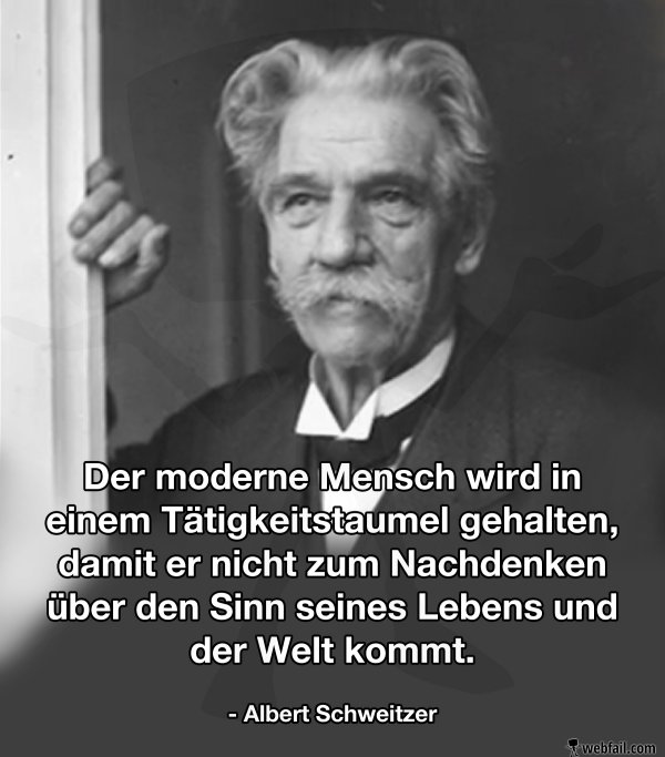 Albert Schweitzer Ein weiser Mann Fun Bild Webfail Fail Bilder