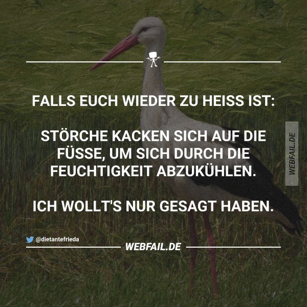 Nur mal so am Rande Webfail Fail Bilder und Fail Videos
