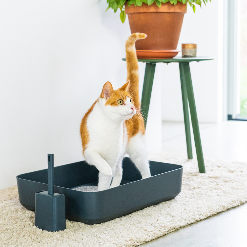 Hoopo® Poh Litter Box Grey The Pet Empire