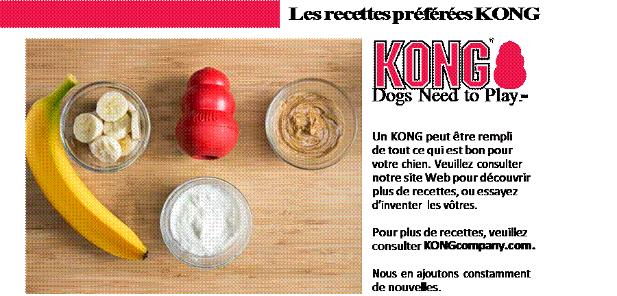 les recettes préférées KONG