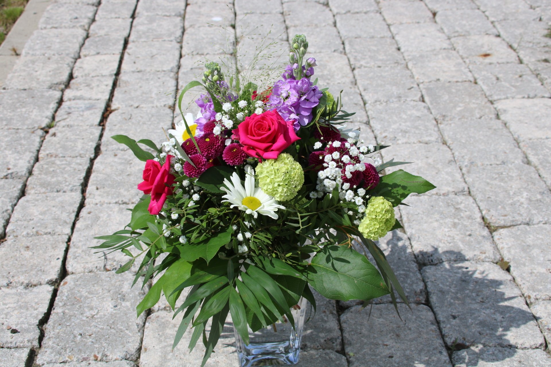 Moor Flowers Lilienthal