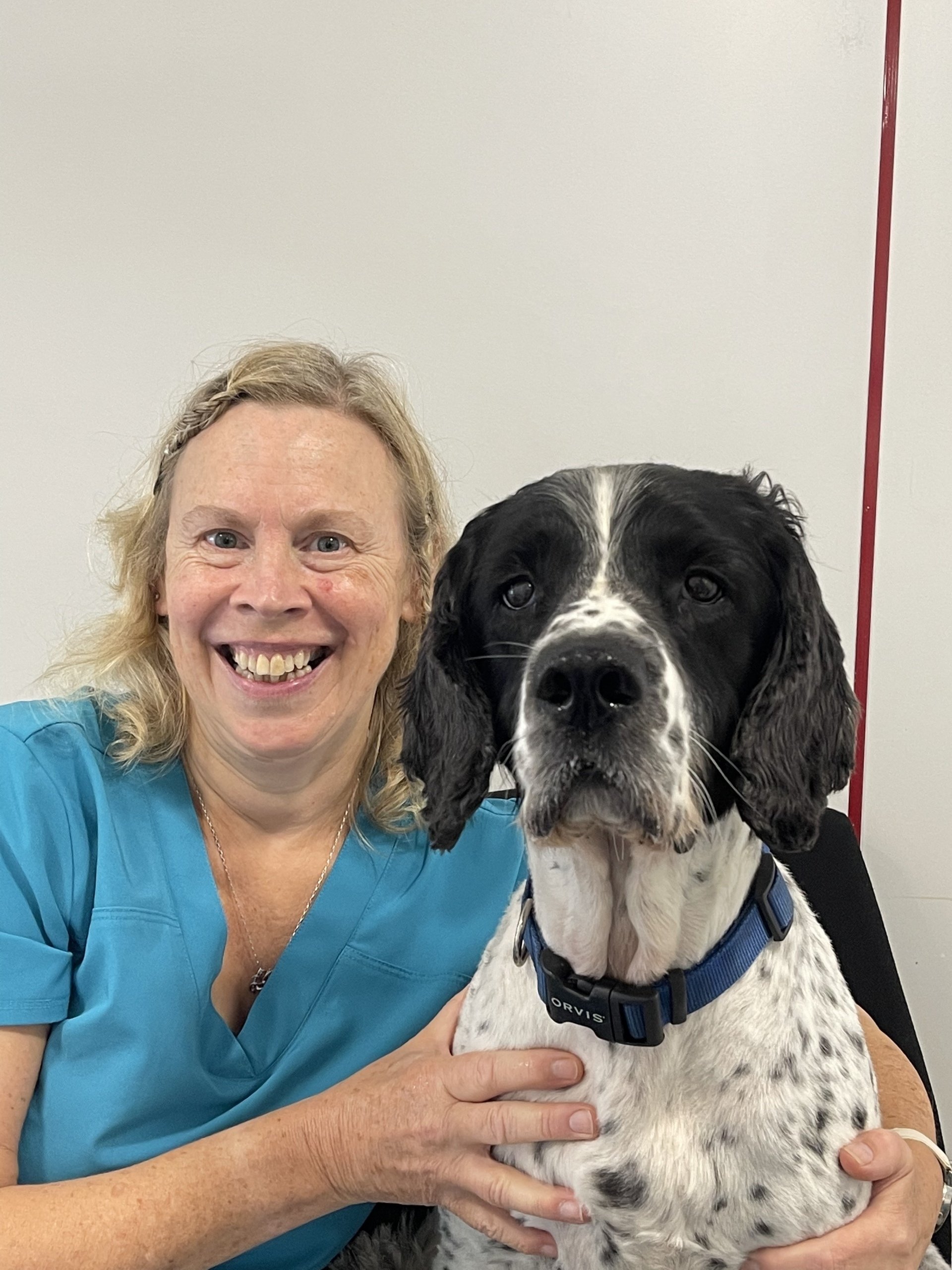 North East Veterinary Ophthalmology Meet the Team