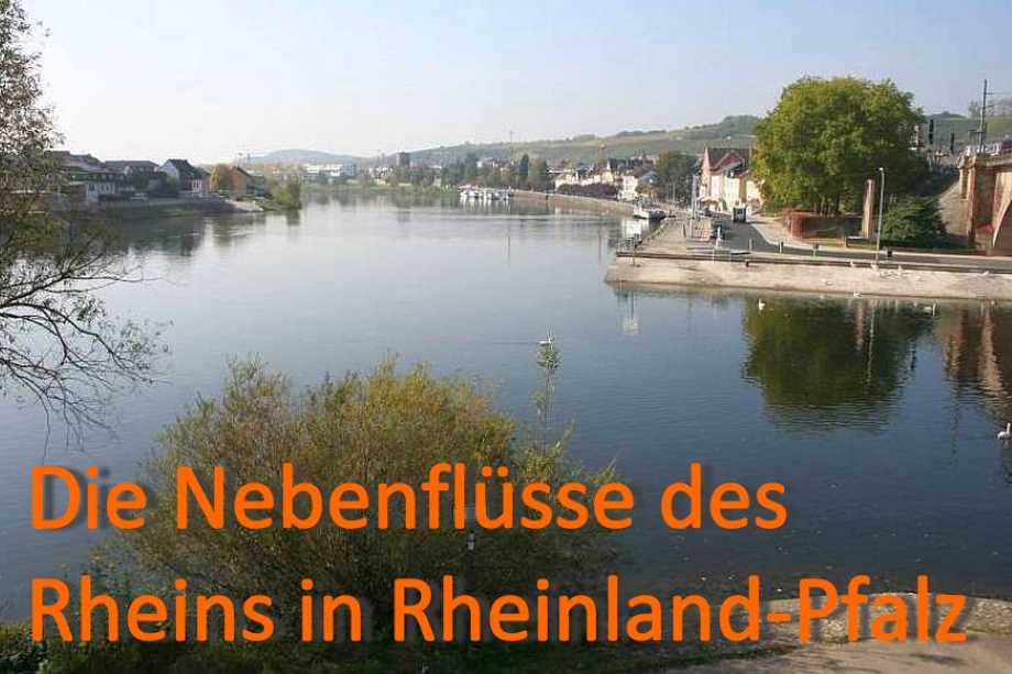 Nebenflüsse des Rhein in RheinlandPfalz
