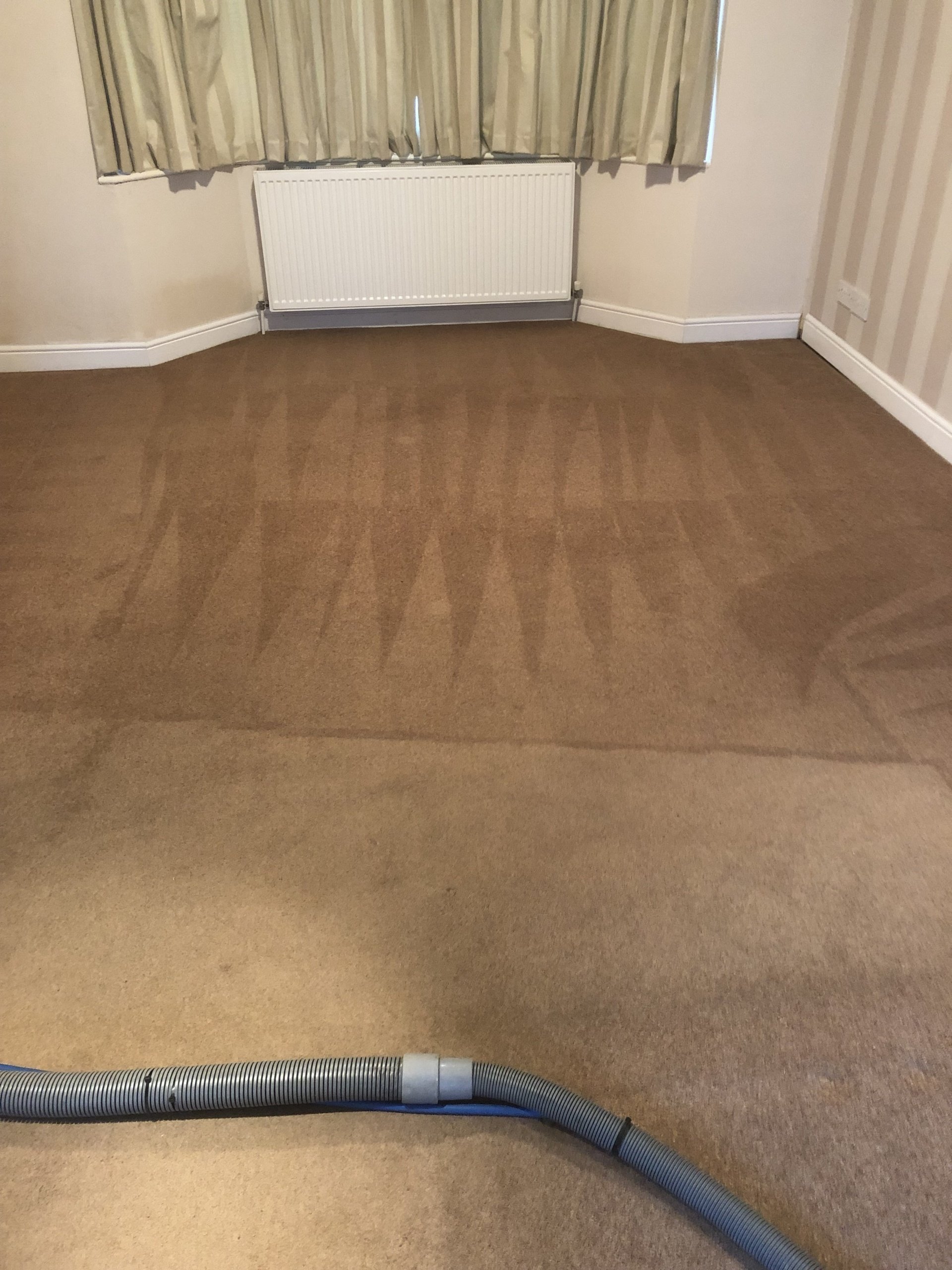 Ultimate Carpet Cleaning Upholstery Cleaning services