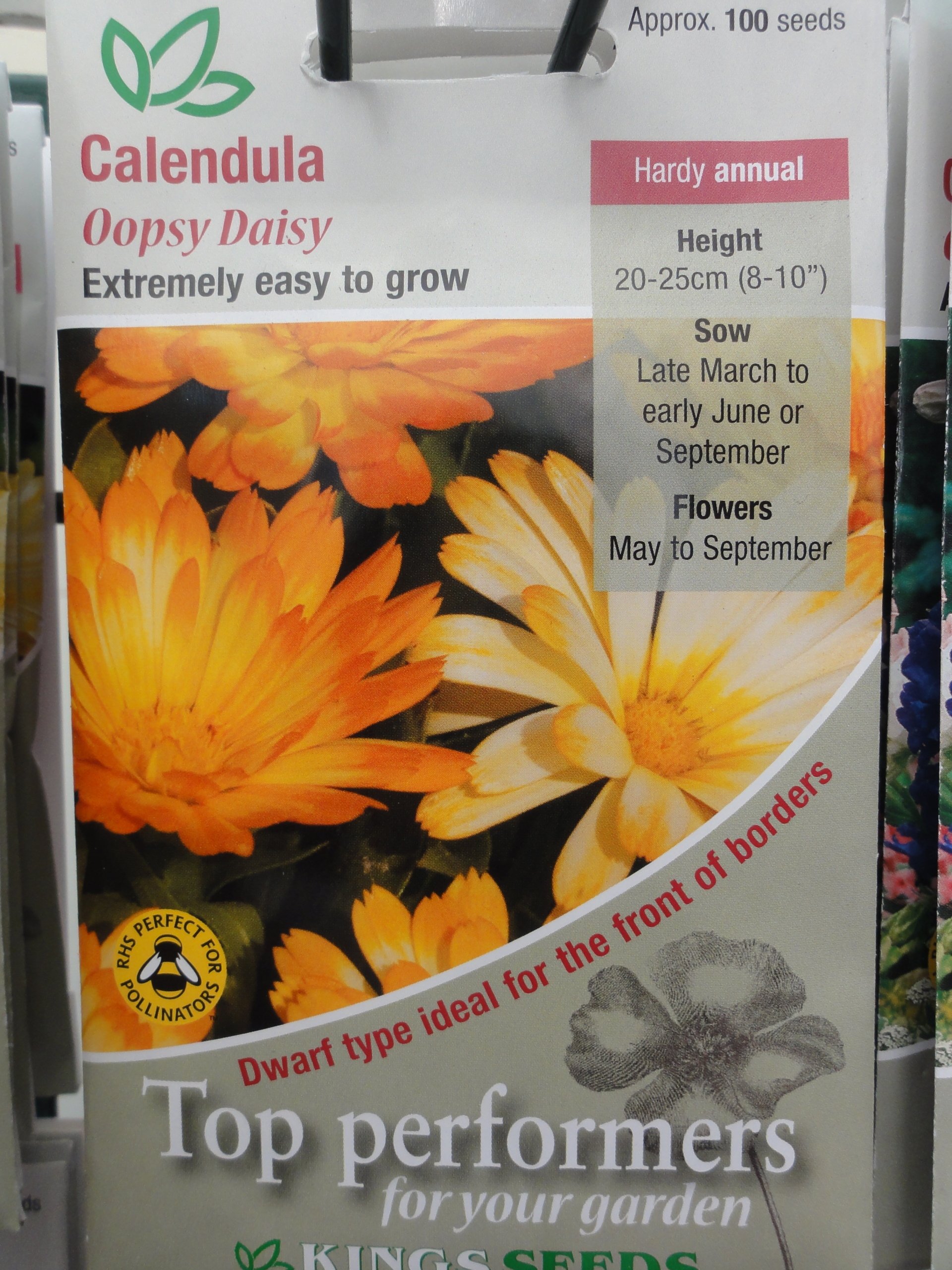 FLOWER SEEDS