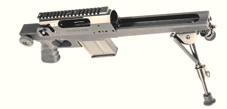 Home Page Unique RS1Fully Modular Rifle