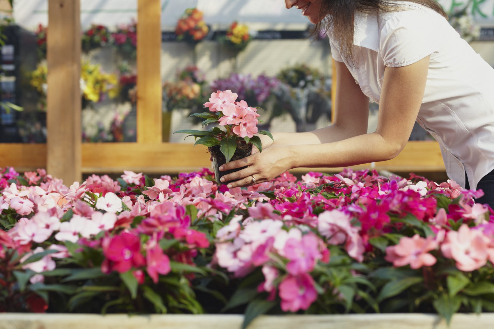 Garrion Bridges Garden Centre Visiting Info