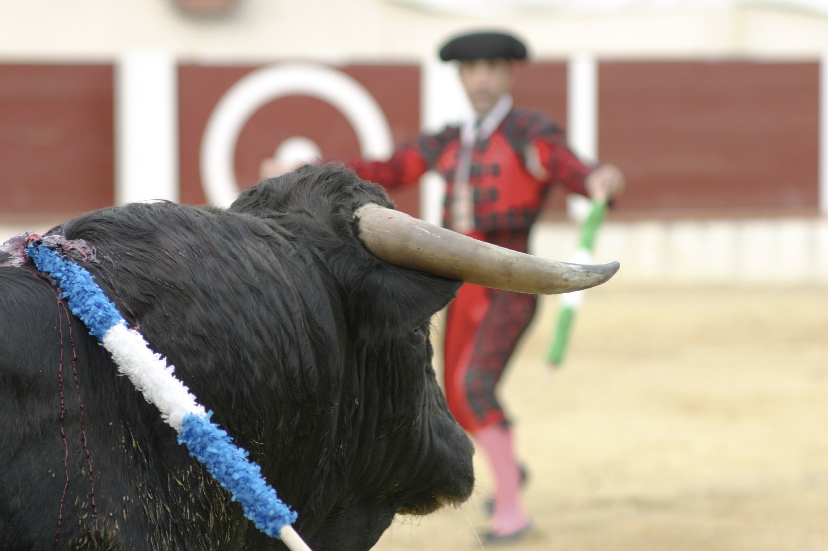 PACKAGES American Lloyd Travels Ltd