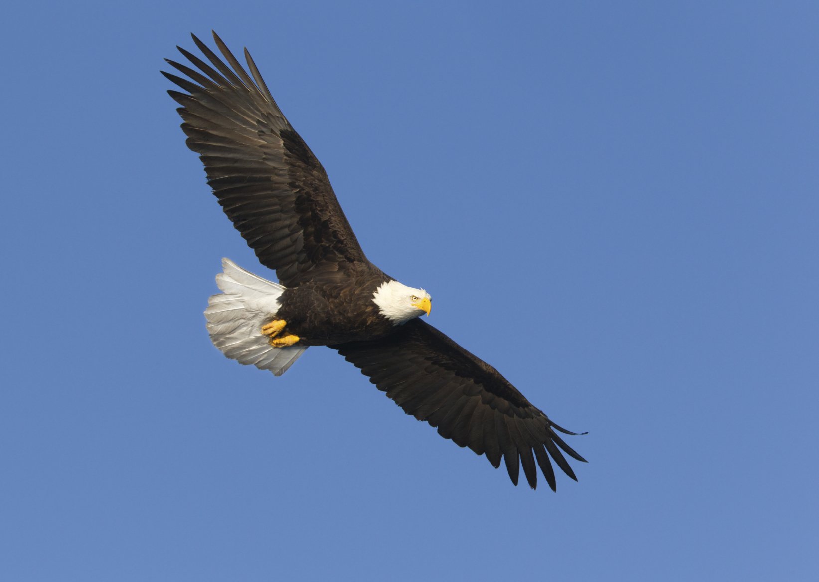 PACKAGES American Lloyd Travels Ltd