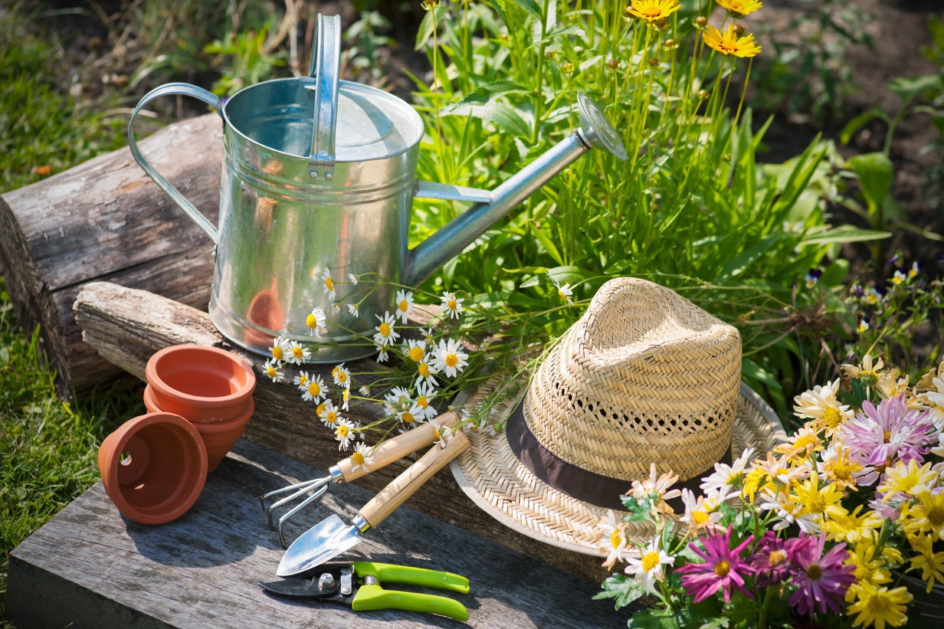 Garrion Bridges Garden Centre Visiting Info