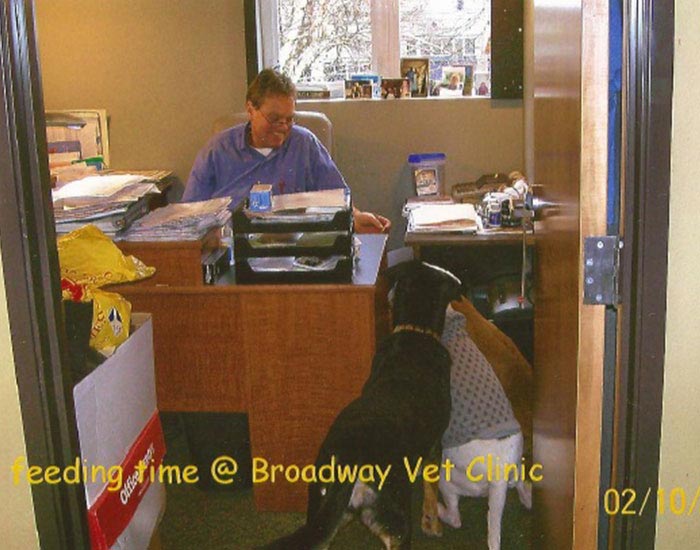 Pet Gallery Portland, OR Broadway Veterinary Clinic