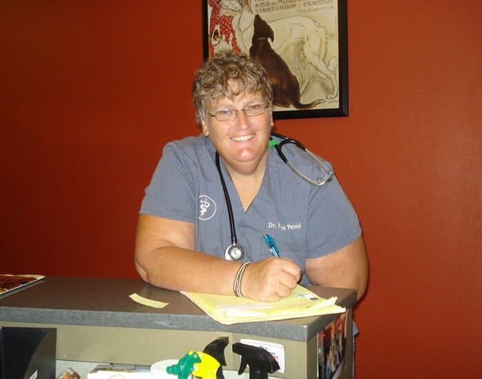 Pet Gallery Portland, OR Broadway Veterinary Clinic