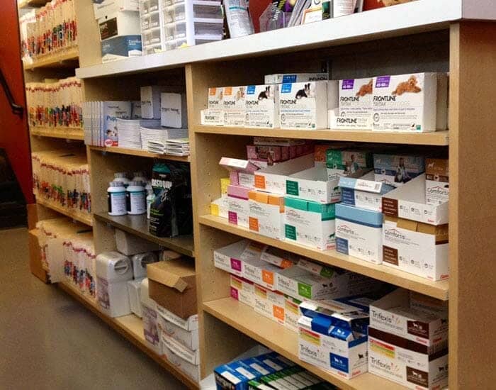 Pet Gallery Portland, OR Broadway Veterinary Clinic