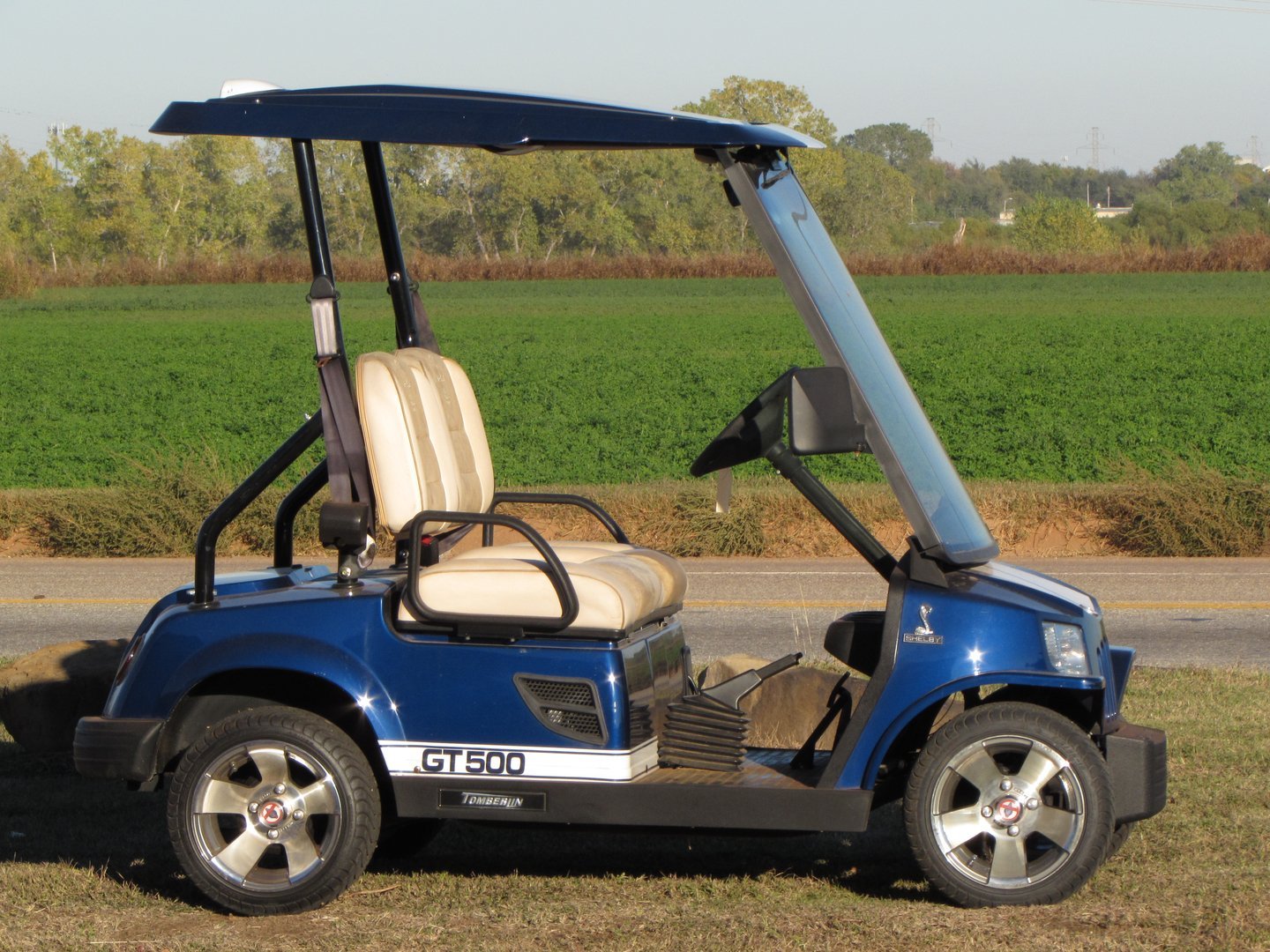 gallery Sun City Center, FL Sun City Golf Carts Inc