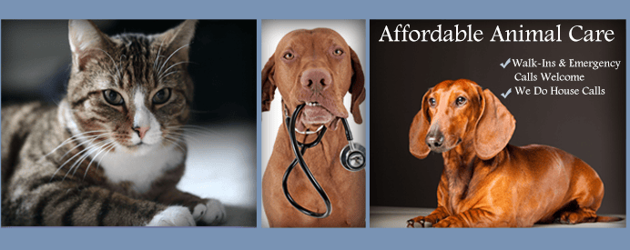 Veterinary Hospital Huntington Beach, CA