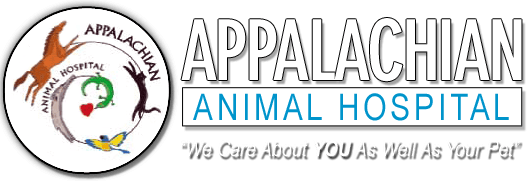Veterinary Appalachian Animal Hospital Morristown, TN