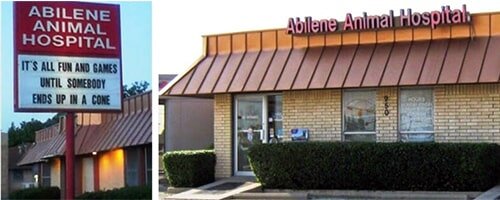 Vaccinations for Dogs and Cats Abilene, TX Abilene Animal Hospital