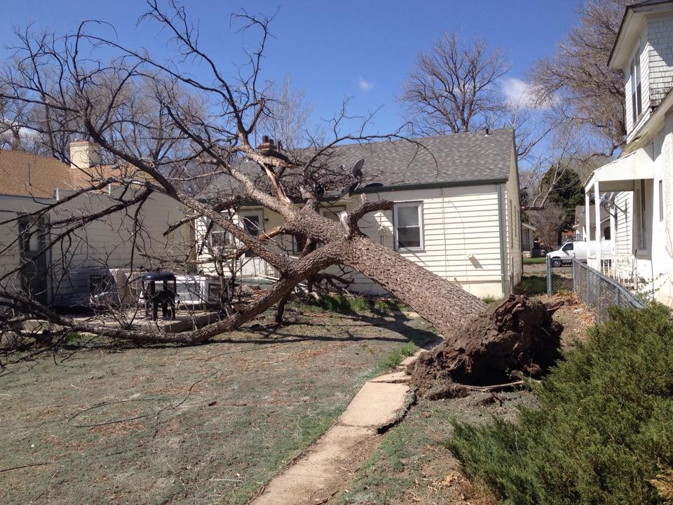 All Seasons Tree Service LLC Pueblo, CO